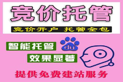 精准信息流投放策略：行业领先企业的成功经验